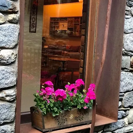 Hotel Boutique La Neu Benasque