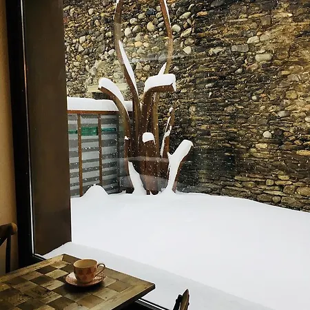 Hotel Boutique La Neu 2*