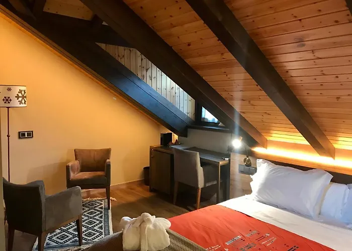 Hotell Boutique La Neu Benasque