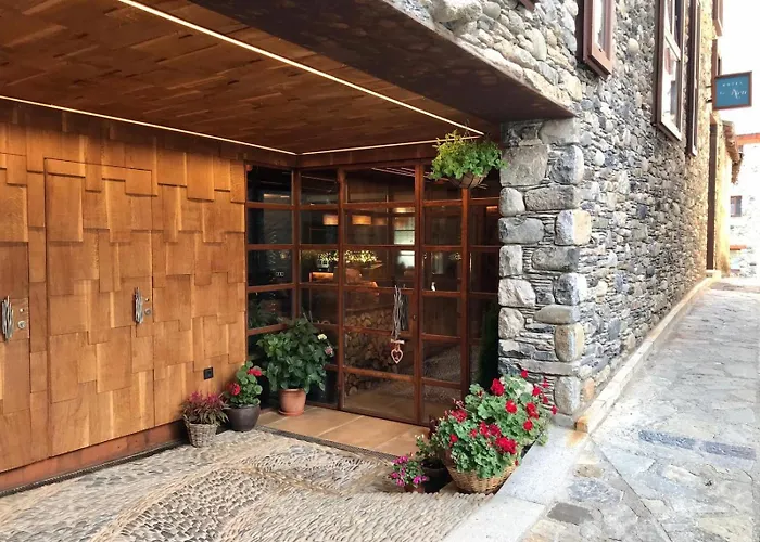 Hotel Boutique La Neu 2*