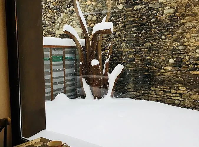 Hotel Boutique La Neu 2*